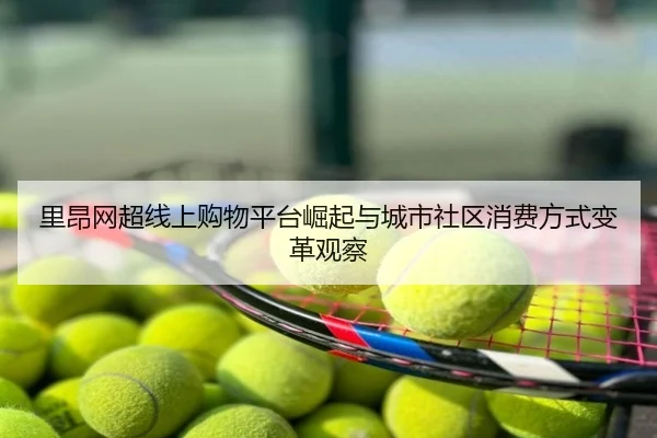 里昂网超线上购物平台崛起与城市社区消费方式变革观察